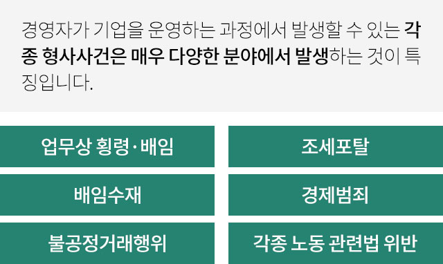 기업형사사건이란